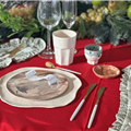 Modèles d'assiettes exclusifs par Komet céramique