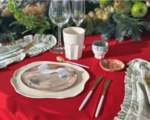 Modèles d'assiettes exclusifs par Komet céramique